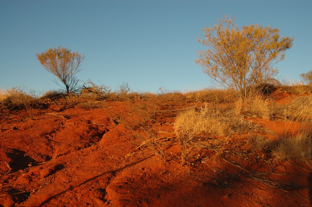 Red Sand